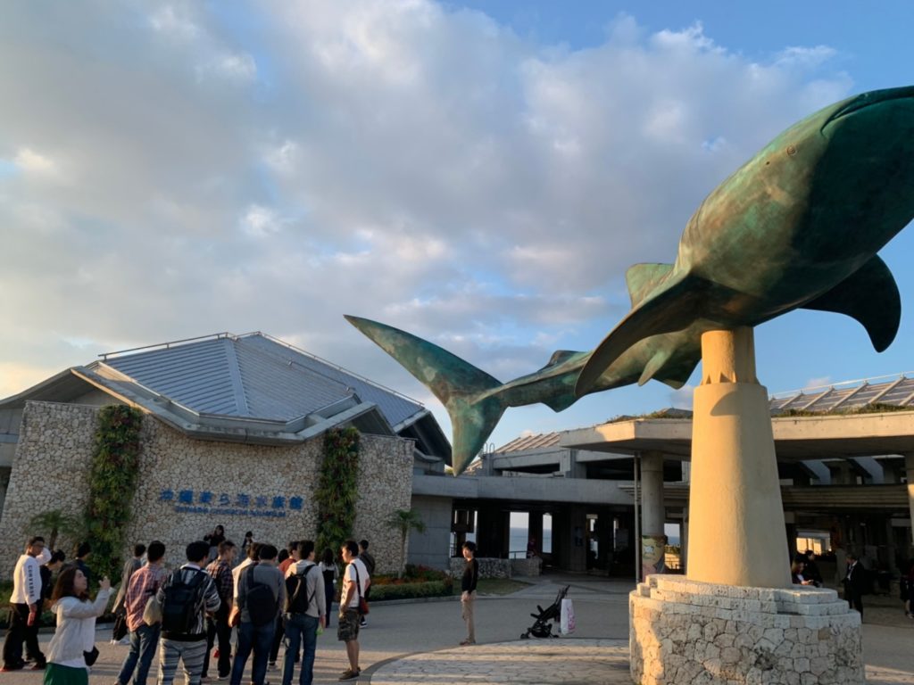 古宇利島から美ら海水族館へ行ってみた 移動時間やお勧めの場所は おきなわ日和